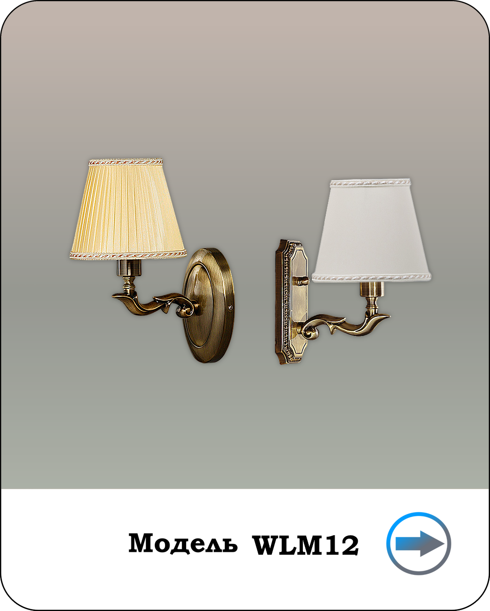 Модель WLM12
