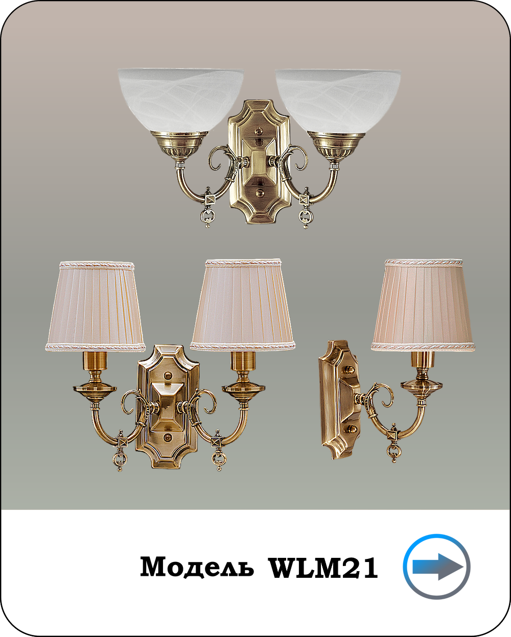 Модель WLM21