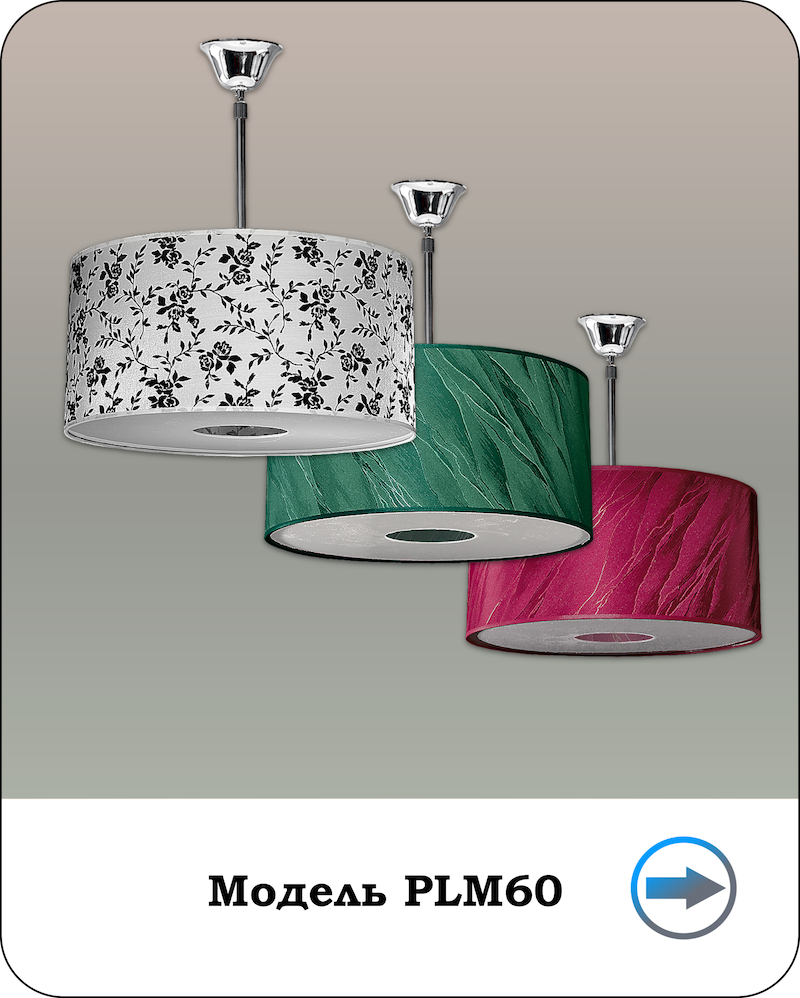 Модель PLM60