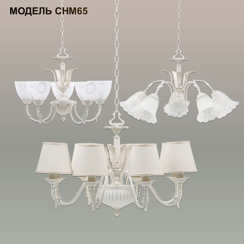 Модель CHM65